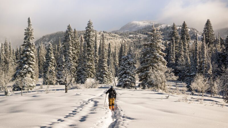 “The Benefits of Renting Ski Equipment for a Hassle-Free Winter Adventure”