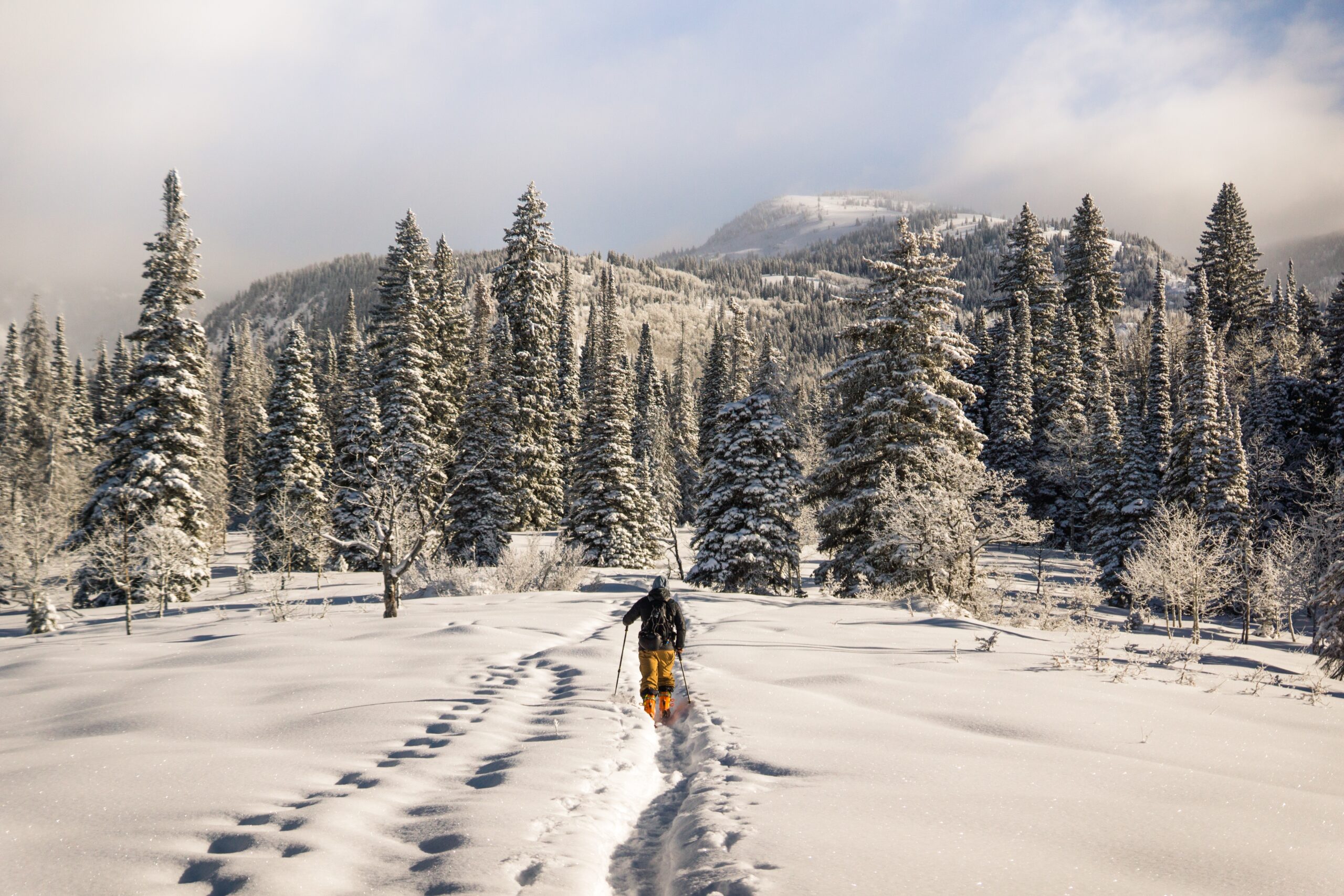 “The Benefits of Renting Ski Equipment for a Hassle-Free Winter Adventure”
